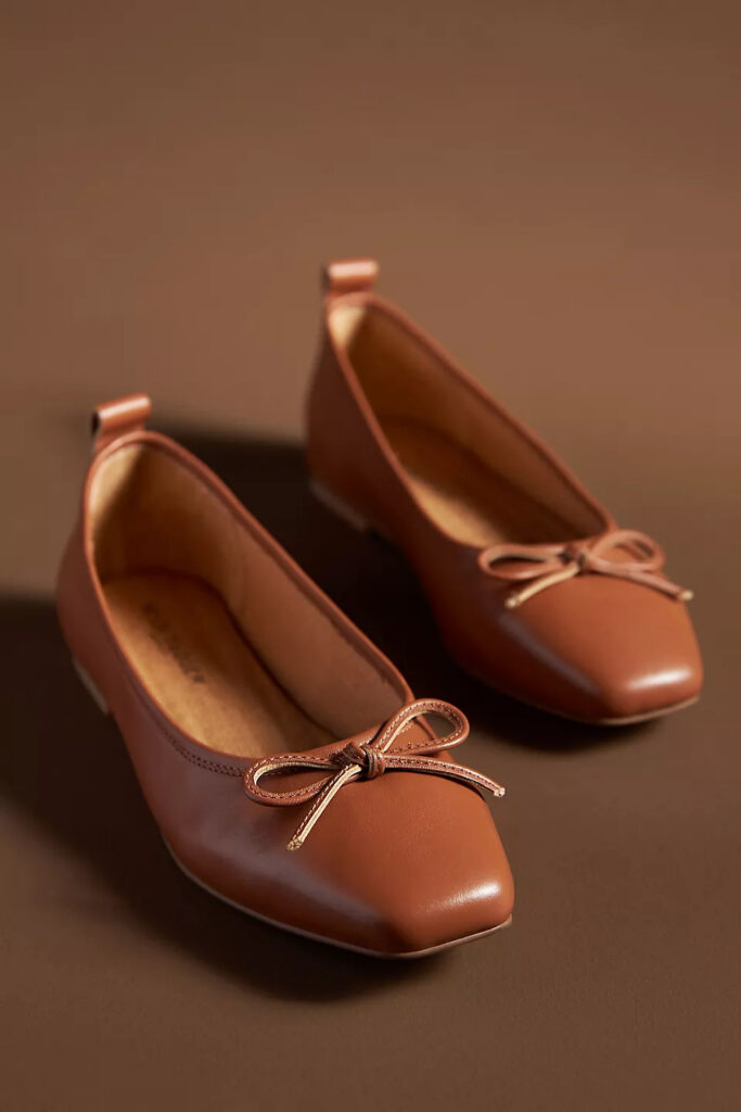 Sophisticated Brown Ballet Flats 